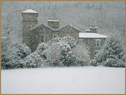 /image/upload/coedycelyn/Coed_y_Celyn_in_Winter.jpg