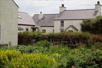 The veg garden